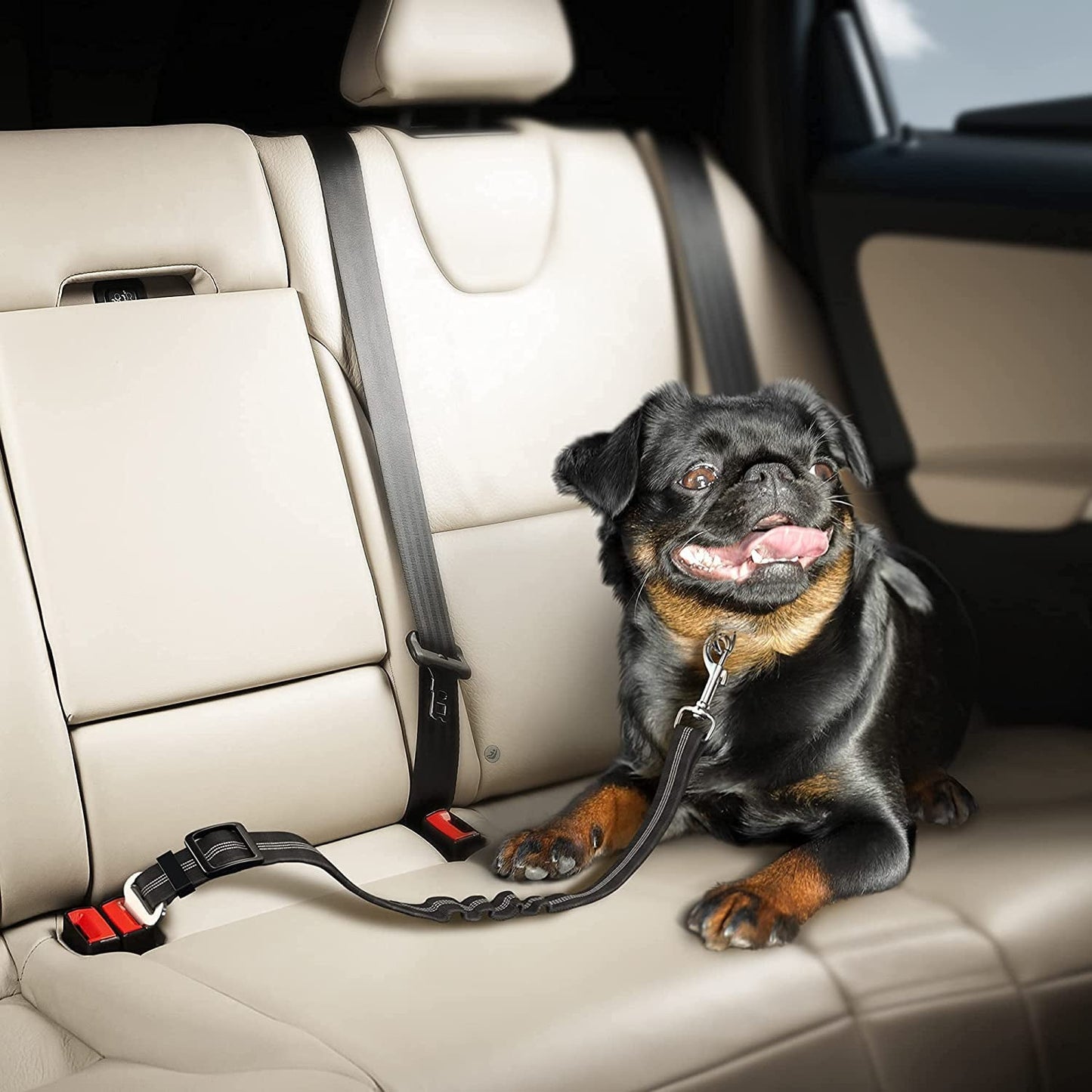 Keep Your Dog Safe and Comfortable with Our Adjustable Elastic Bungee Seat Belt for Car Travel - Perfect for Large Dogs (Black) - Journey Must Haves