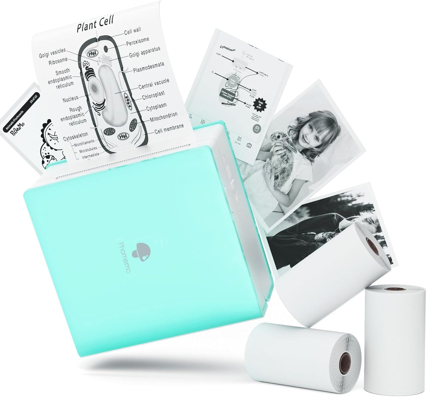 M02 Mini Pocket Sticker Printer - Bluetooth Thermal Printer for Creative Kids and Adults, Includes 3 Rolls of Paper - Perfect for Journals, Notes, and Gifts in Green