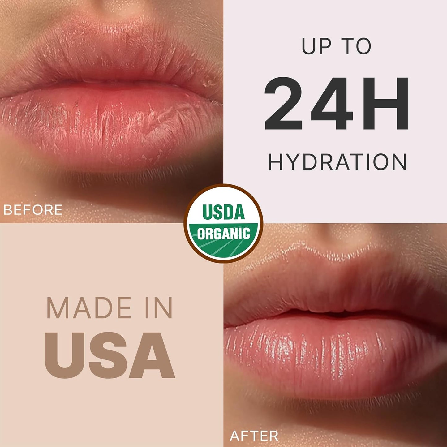 USDA Organic Lip Balm Gift Set - 12 Pack of Moisturizing Flavors for Hydrated, Beautiful Lips - Made in the USA with Natural Ingredients