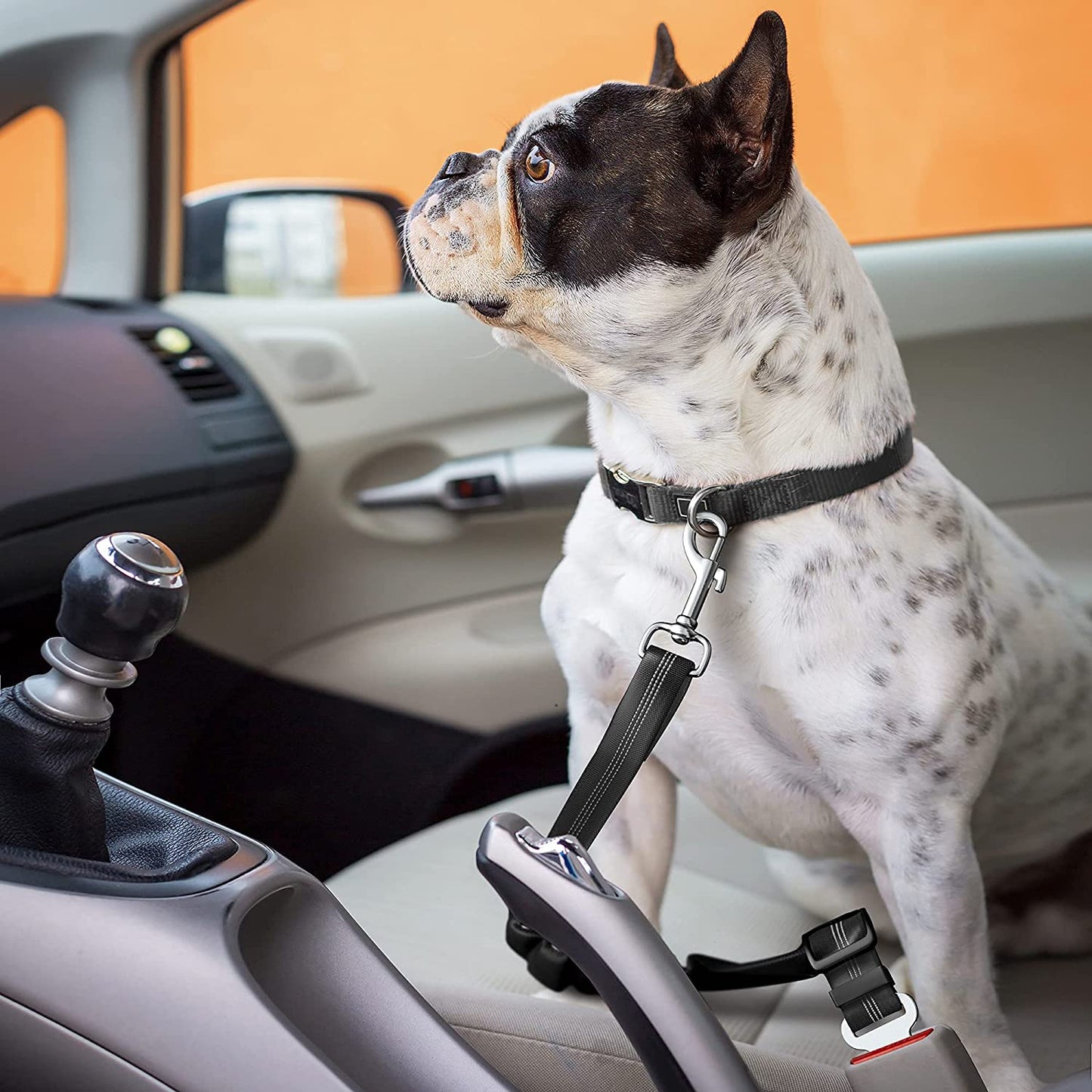 Keep Your Dog Safe and Comfortable with Our Adjustable Elastic Bungee Seat Belt for Car Travel - Perfect for Large Dogs (Black)