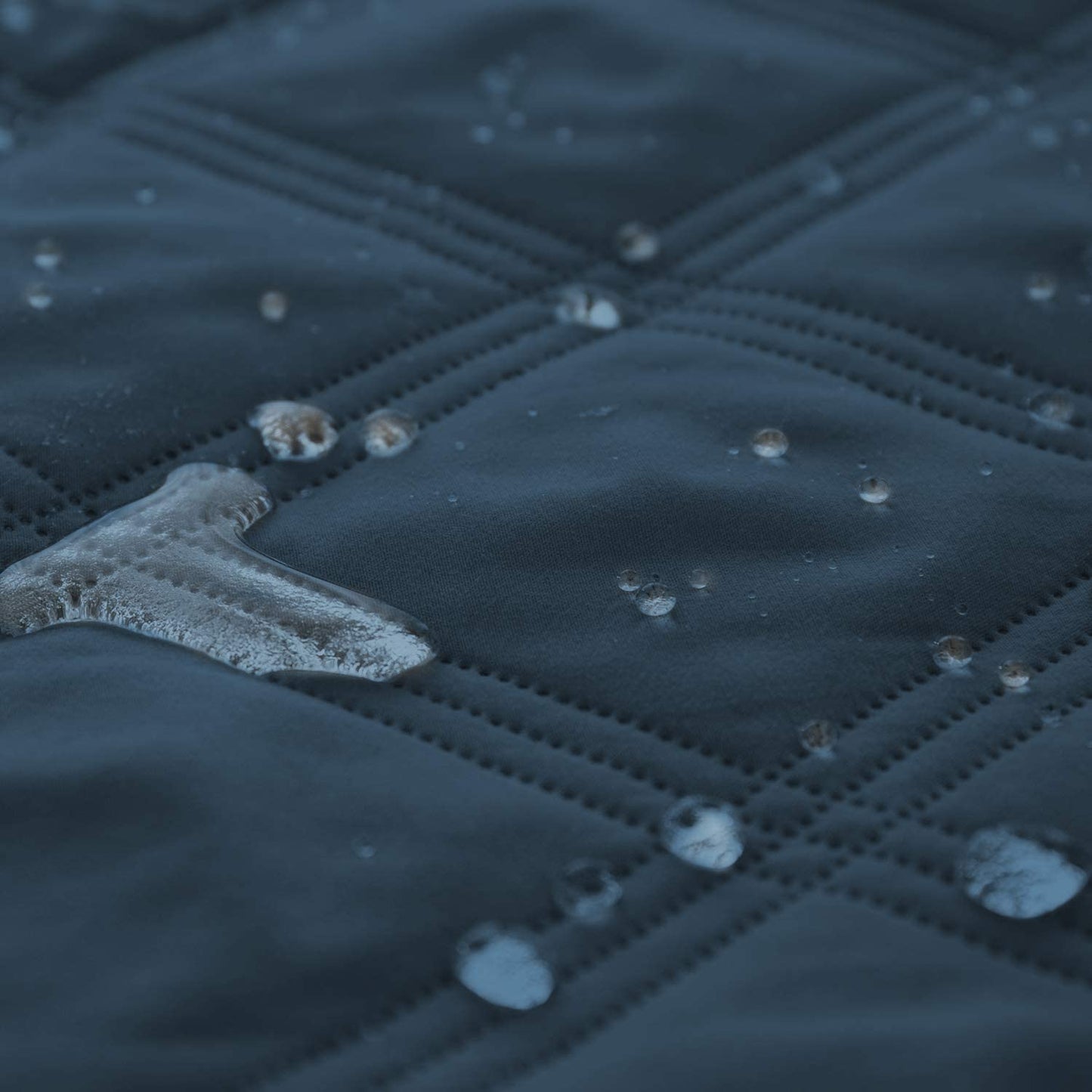 Ultimate Waterproof Dog Bed Cover & Pet Blanket - Anti-Slip Back for Couch, Sofa & Furniture