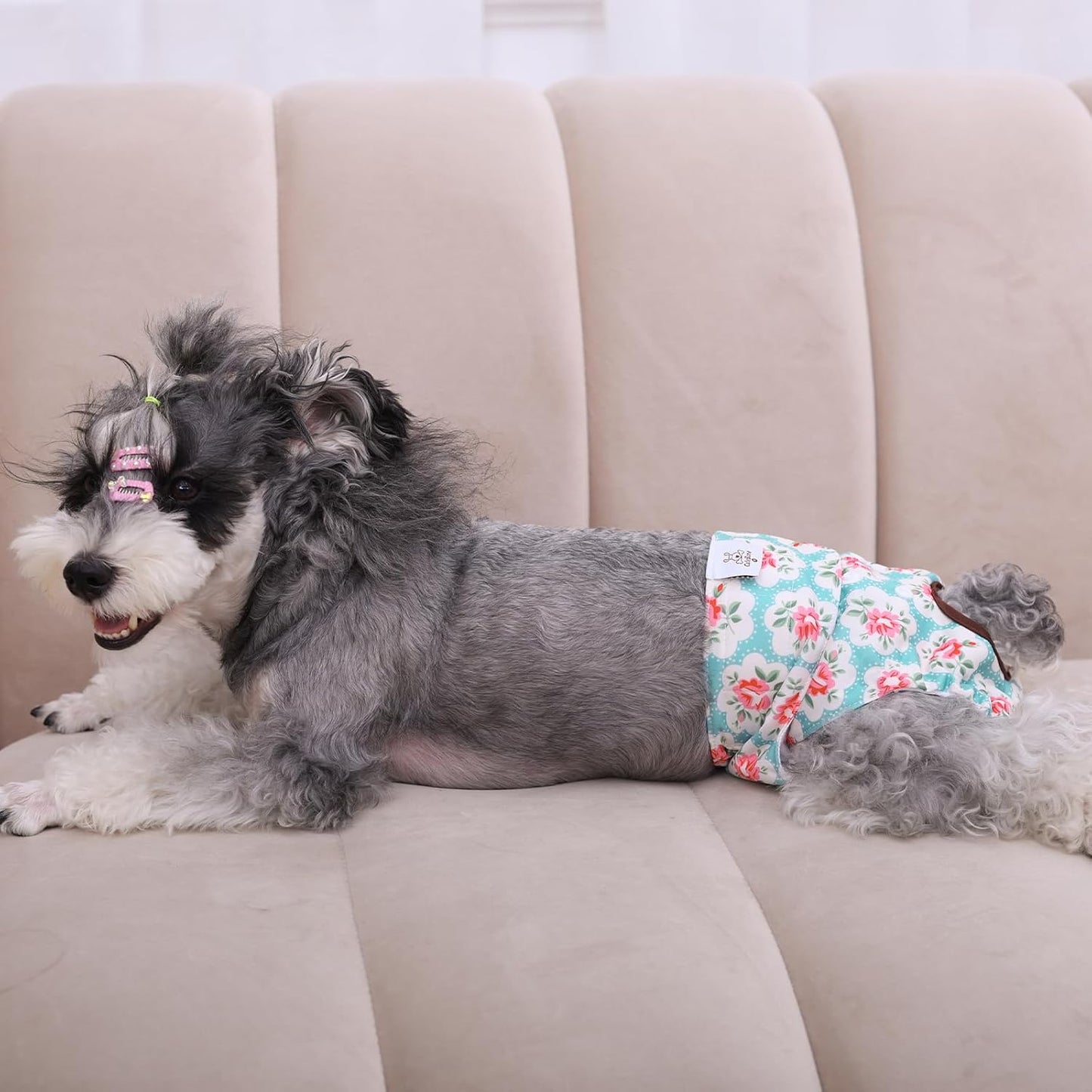 Comfortable and Stylish Dog Diapers for Females - Washable 3 Pack for Heat Cycle and Potty Training - Perfect for All Breeds