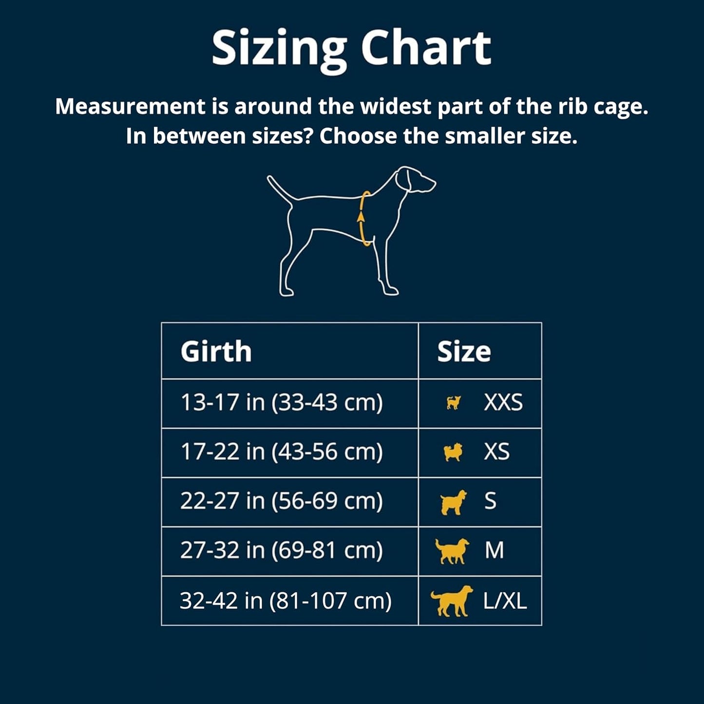 Ultimate Support Dog Harness for Every Adventure - Web Master Multi-Use Harness in Red Currant, X-Small