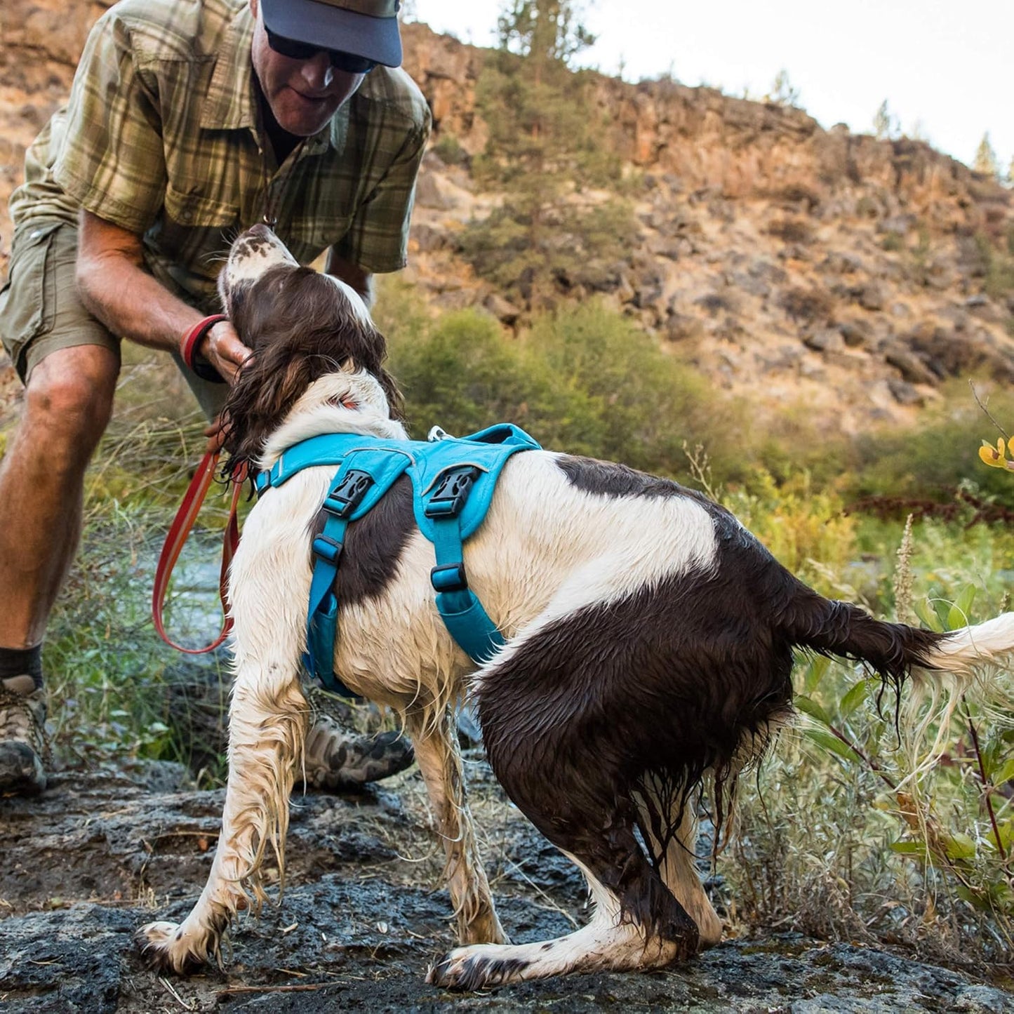 Ultimate Support Dog Harness for Every Adventure - Web Master Multi-Use Harness in Red Currant, X-Small