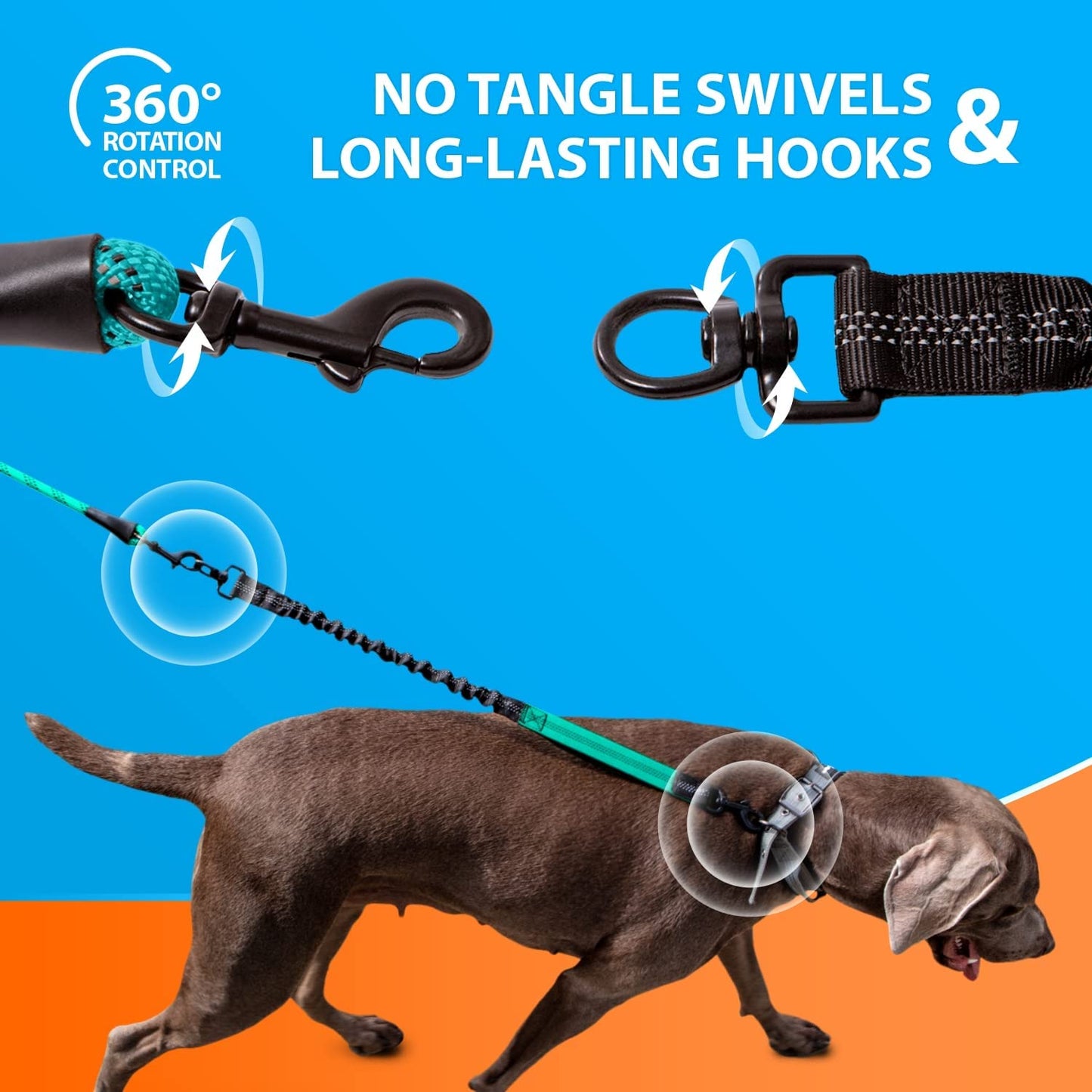 Durable Teal Bungee Leash for Large and Medium Dogs - Anti-Pull Shock Absorption with Reflective Design for Safe Outdoor Adventures