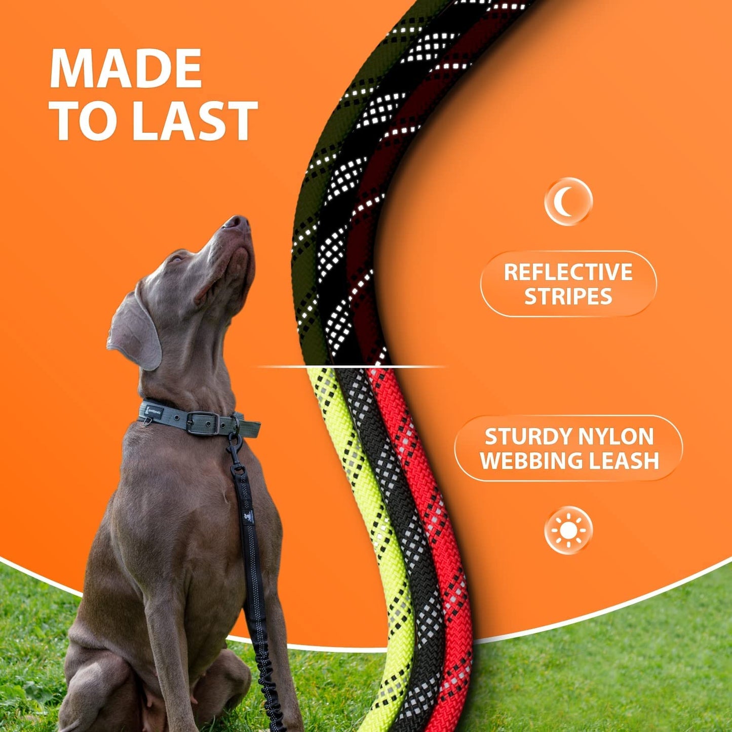 Durable Teal Bungee Leash for Large and Medium Dogs - Anti-Pull Shock Absorption with Reflective Design for Safe Outdoor Adventures