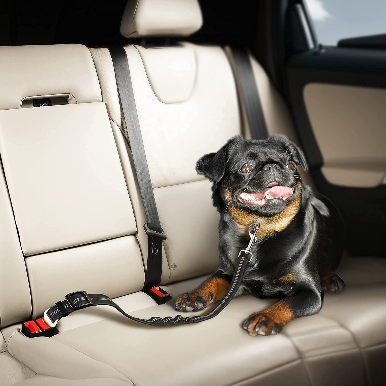 Keep Your Dog Safe and Comfortable with Our Adjustable Elastic Bungee Seat Belt for Car Travel - Perfect for Large Dogs (Black) - Journey Must Haves