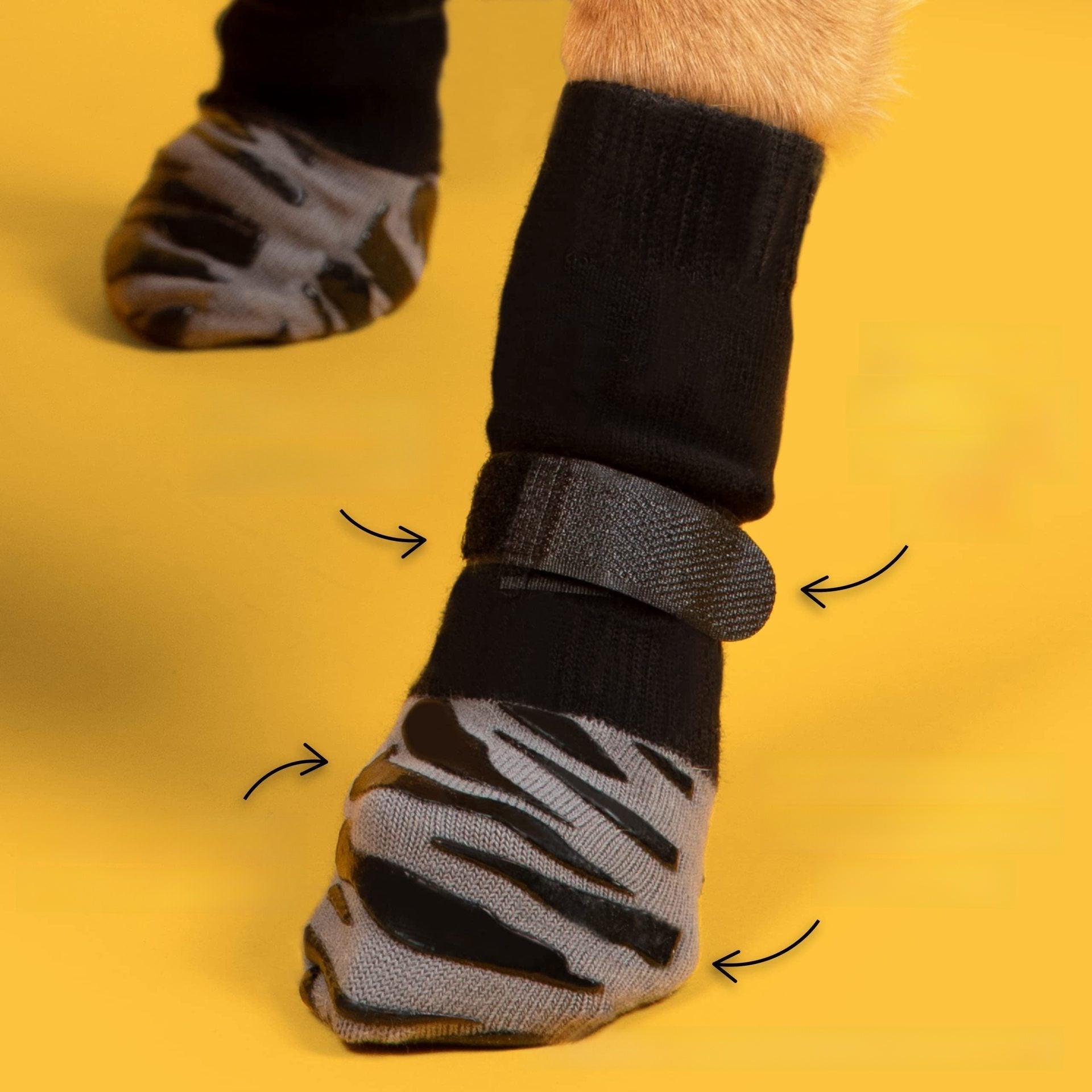 Outdoor pet socks - Journey Must Haves