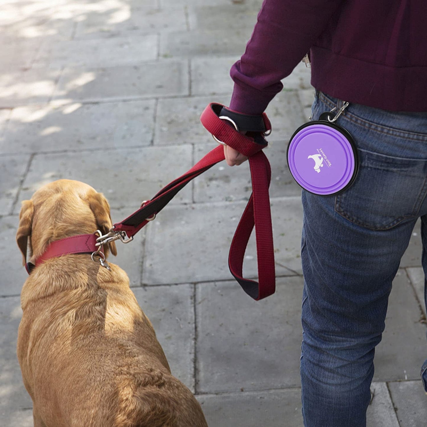Travel - Friendly Collapsible Dog Bowls - 2 - Pack Portable Silicone Water and Food Dishes for Dogs and Cats with Carabiners - Journey Must Haves