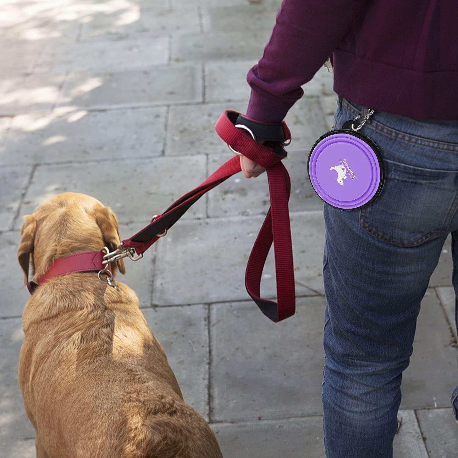Travel - Friendly Collapsible Dog Bowls - 2 - Pack Portable Silicone Water and Food Dishes for Dogs and Cats with Carabiners - Journey Must Haves