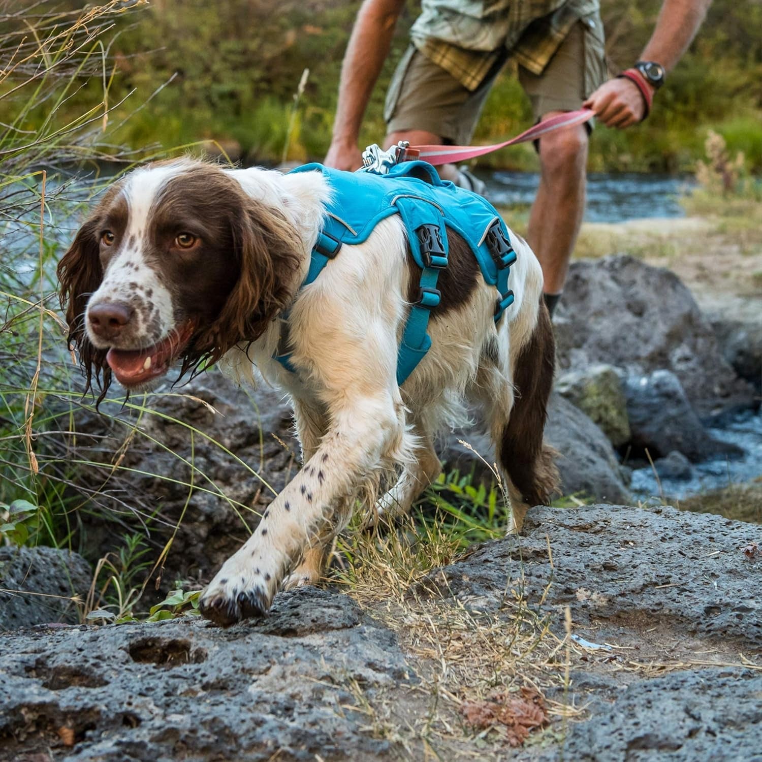 Ultimate Support Dog Harness for Every Adventure - Web Master Multi - Use Harness in Red Currant, X - Small - Journey Must Haves