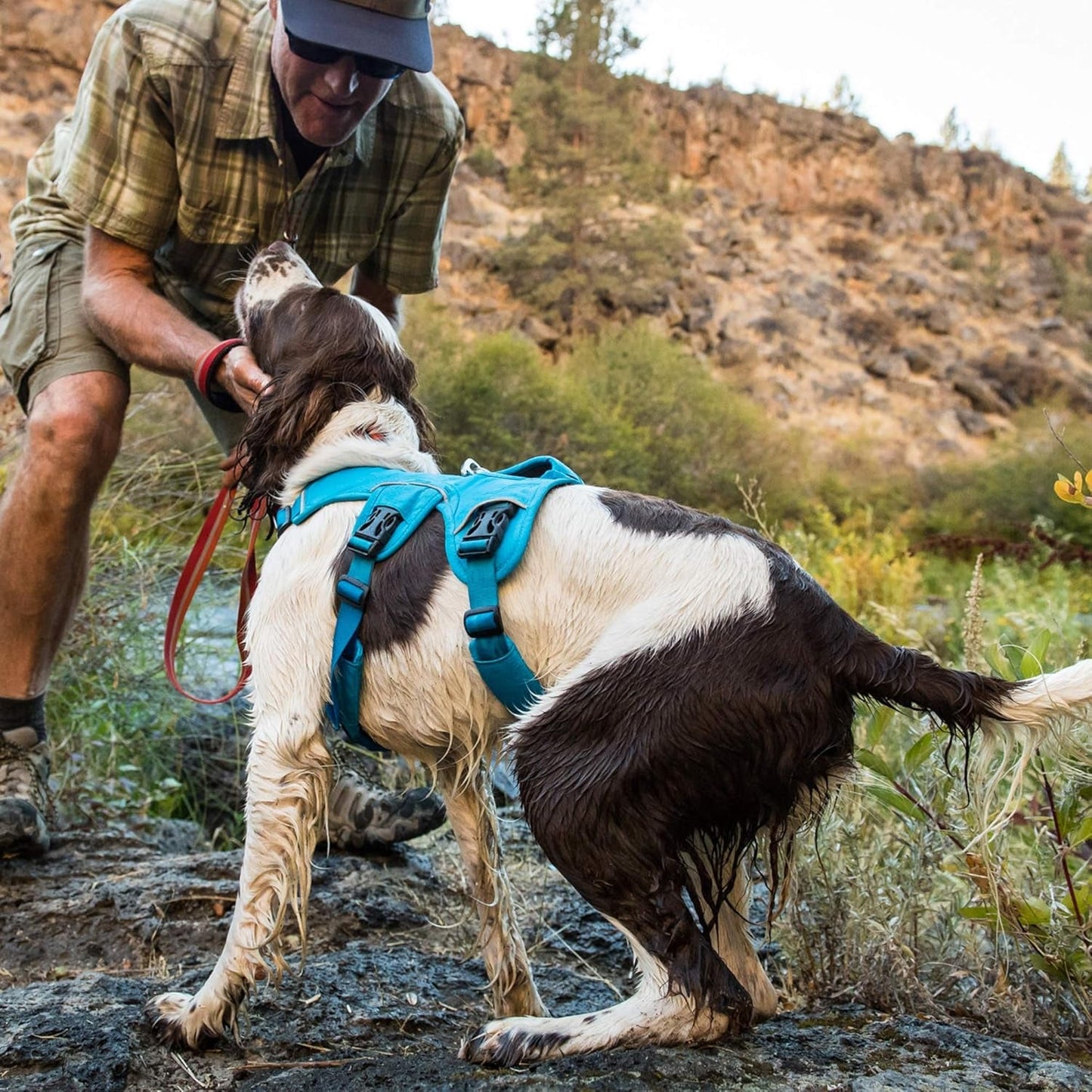 Ultimate Support Dog Harness for Every Adventure - Web Master Multi - Use Harness in Red Currant, X - Small - Journey Must Haves